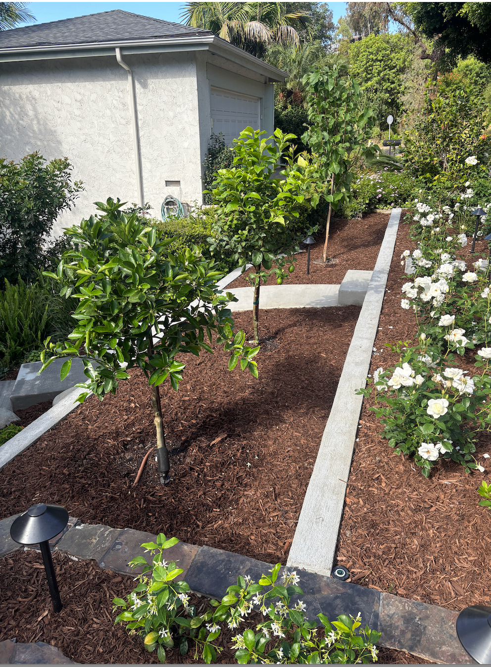 Concrete Border Garden Walkway
